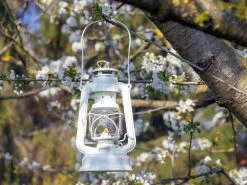 Feuerhand Baby Special 276 Pure White Stormlamp -Kampeeruitrusting feuerhand stormlamp wit 3 ecommerce 5631